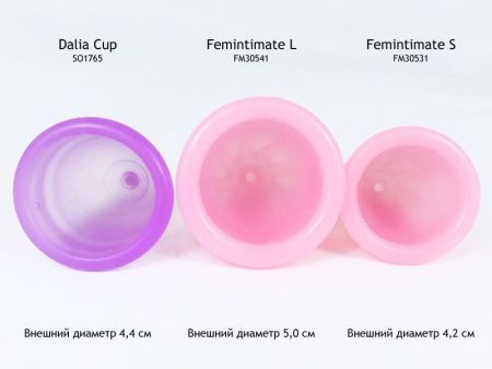 Менструальная чаша Femintimate Eve Cup размер L с переносным душем, диаметр 3,8см || 